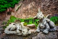 Jelenia Gora, Poland - June 29, 2022: Little dragon statues in the Chojnik Castle, Karkonosze mountains. Poland