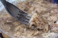 Jellied pork closeup. Traditional meat dish. Meat and fork