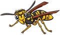 Jellowjacket or wasp insect character cartoon illustration