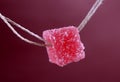 jelly candy red in sugar hanging on a rope Royalty Free Stock Photo