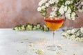 Jelly dessert. Elegant stemware glass of delicious fruit dessert in  on gray table surface surround of spirea blossom Royalty Free Stock Photo