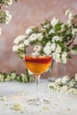 Jelly dessert. Elegant stemware glass of delicious fruit dessert in  on gray table surface surround of spirea blossom Royalty Free Stock Photo