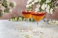 Jelly dessert. Two elegant stemware glass of delicious fruit dessert in  on gray table surface Royalty Free Stock Photo