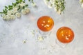 Jelly dessert. Two elegant stemware glass of delicious fruit dessert in  on gray table surface Royalty Free Stock Photo