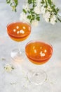 Jelly dessert. Two elegant stemware glass of delicious fruit dessert in  on gray table surface Royalty Free Stock Photo