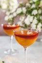 Jelly dessert. Two elegant stemware glass of delicious fruit dessert in  on gray table surface Royalty Free Stock Photo