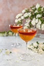 Jelly dessert. Two elegant stemware glass of delicious fruit dessert in  on gray table surface Royalty Free Stock Photo