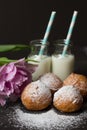 Jelly doughnuts and two bottles of milk Royalty Free Stock Photo