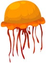 Jelly fish