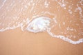 Jelly fish on beach Royalty Free Stock Photo