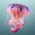 jelly fish with the water blue and green back ground as the background Royalty Free Stock Photo