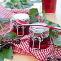 Jelly and fresh elder berries Royalty Free Stock Photo