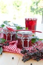 Jelly and fresh elder berries Royalty Free Stock Photo