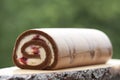 Jelly roll with cherry Royalty Free Stock Photo