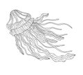 Hand drawn ocean jellyfish with small and middle pattern on white isolated background.