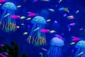 Jellyfish in an aquarium with fish in sea water Royalty Free Stock Photo