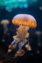 A jellyfish in an aquarium tank AI generated