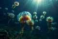 jellyfish Aurelia aurita. Crimea, Black Sea Royalty Free Stock Photo