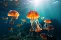 jellyfish Aurelia aurita. Crimea, Black Sea Royalty Free Stock Photo