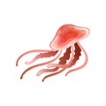 Jellyfish, Beautiful Red Swimming Marine Underwater Creature Vector Illustration