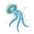 Jellyfish cartoony flat decoration. Hand-drawn poisonous medusa, marine oceanic inhabitant, simple nautical character design.
