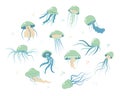 Jellyfish cartoony flat decoration set. Hand-drawn poisonous medusa collection, marine oceanic inhabitants, simple nautical