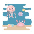 Jellyfish crab fishes snail and shell life cartoon under the sea Royalty Free Stock Photo