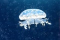 Jellyfish among deep sea waters and bubbles, microcosm