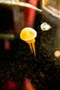 Jellyfish Floating in Water with Tiny Bubbles