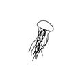 jellyfish icon.Element of popular sea animals icon. Premium quality graphic design. Signs, symbols collection icon for websites, w