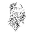 Jellyfish with lilies outline hand-drawn doodle marine sketch, underwater jelly fish illustration, medusa line art