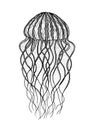 Jellyfish in line art style. Vector illustration. Design for coloring book. Ocean elements Royalty Free Stock Photo
