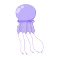 Jellyfish marine animal. Creature from the sea or ocean