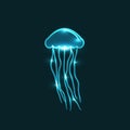 Jellyfish neon vector icon