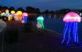Jellyfish next to a lake at Chinese lantern festival