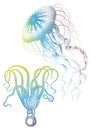 Jellyfish And Octopus, Vector