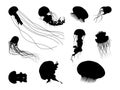 Set of Black Jellyfish Silhouette