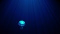 Luminous transparent jellyfish slowly floats deep under water in the rays of light. bioluminescent pattern on the body