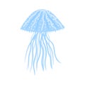 Jellyfish small isolated on white background. Cartoon cute blue color in doodle