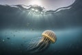 A jellyfish is swimming under water with the light shining on it