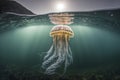 A jellyfish is swimming under water with the light shining on it