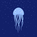 Jellyfish under water. Marine life Royalty Free Stock Photo