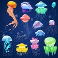 Jellyfish vector ocean jelly-fish and underwater nettle-fish illustration set of jellylike glowing medusa or fish in sea