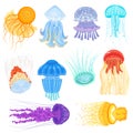 Jellyfish vector ocean jelly-fish and underwater nettle-fish illustration set of jellylike glowing medusa in sea Royalty Free Stock Photo