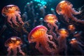 jellyfish in the water jellyfish in the water underwater view of a red and white jellyfish, Colorful jellyfish floating in water Royalty Free Stock Photo