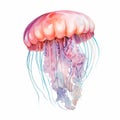 Jellyfish Watercolor Artwork: Dark Pink And Light Azure Illustration