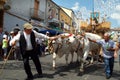 Jelsi, Molise/Italy -07/26/2015- The Wheat Festival, a propitiatory and thanksgiving event to Santa Anna