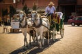 On the Jemaa el Fna square in Marrakesh Royalty Free Stock Photo