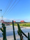 a bunch of green cactus plants with a background of a parking lot, rice fields, tall buildings, and a clear blue sky Royalty Free Stock Photo