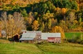 Jenne Farm with barn at sunny autumn day